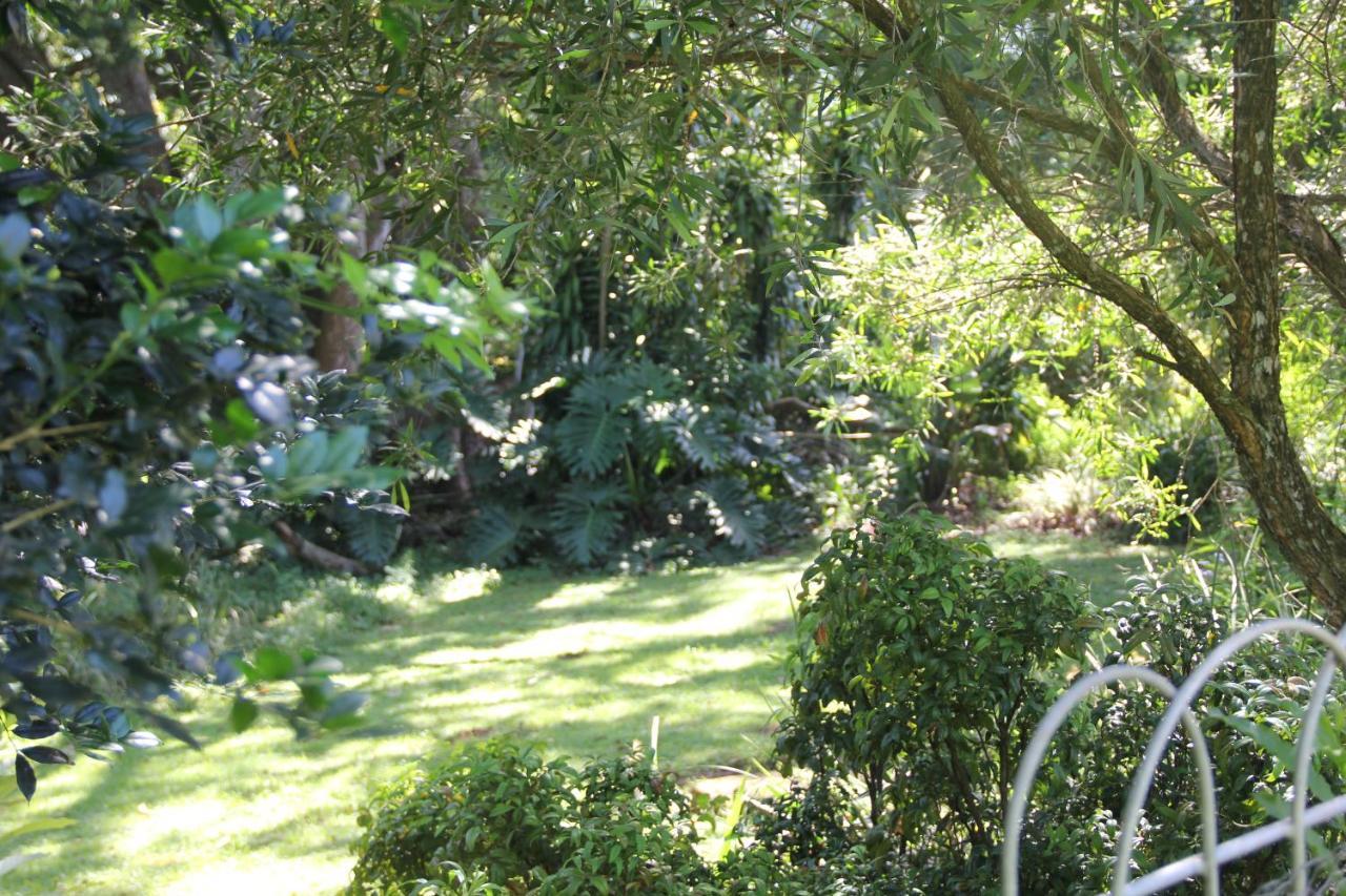 Le Residence De Josephine Kloof Exteriör bild